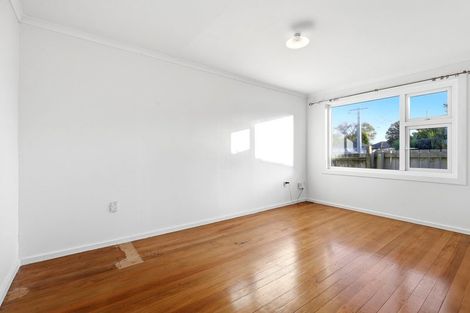 Photo of property in 9 Larsen Road, Panmure, Auckland, 1072