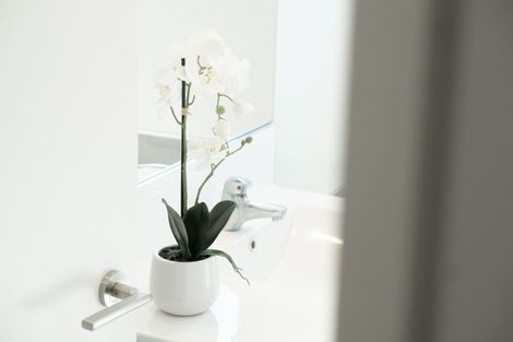 Photo of property in 22b Clive Road, Katikati, 3129