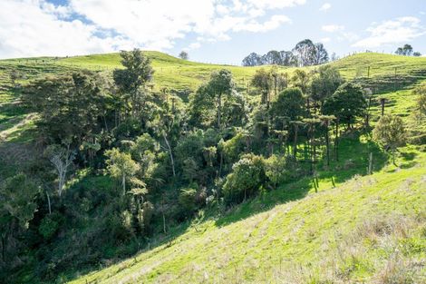 Photo of property in 443 Scotsman Valley Road, Tauwhare, Morrinsville, 3371