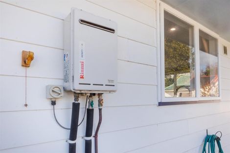 Photo of property in 181a Bridge Street, Bulls, 4818