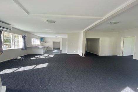 Photo of property in 47 Disraeli Street, Epsom, Auckland, 1023