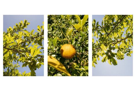 Photo of property in 266b Ngatai Road, Otumoetai, Tauranga, 3110