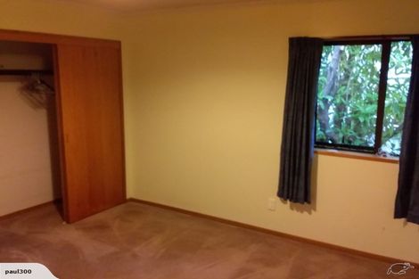 Photo of property in 3 Merlin Street, Roslyn, Dunedin, 9010