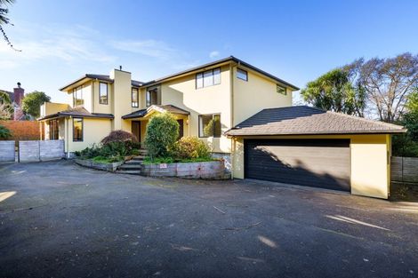 Photo of property in 27 Erin Street, Roslyn, Dunedin, 9010