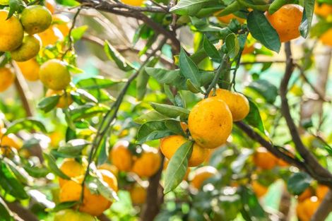 Photo of property in 3 Mahurangi East Road, Snells Beach, Warkworth, 0982