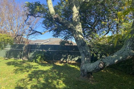 Photo of property in 34 Perry Street, Mangapapa, Gisborne, 4010