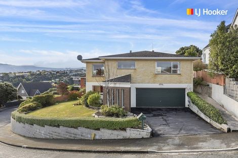 Photo of property in 24 Elliffe Place, Shiel Hill, Dunedin, 9013