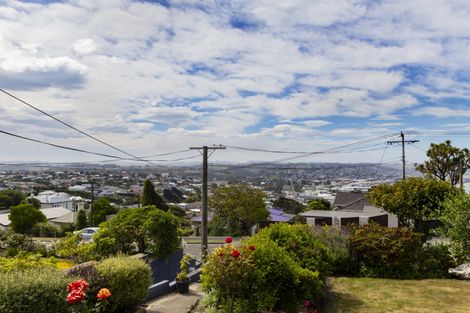 Photo of property in 21 Tamar Street, South Hill, Oamaru, 9400