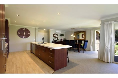 Photo of property in 24 Park Drive, Richmond, 7020