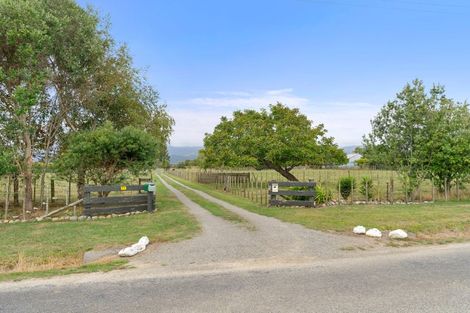 Photo of property in 77 Bruce Road, Levin, 5510