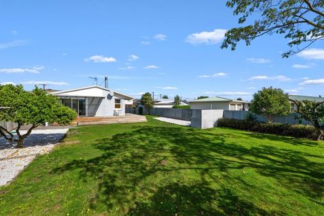 Photo of property in 20 Moran Street, Redwoodtown, Blenheim, 7201