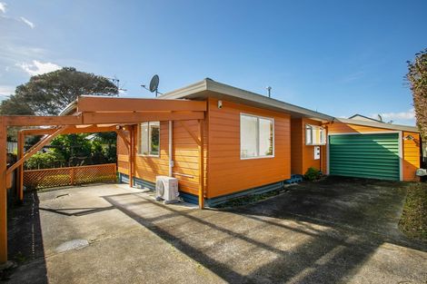Photo of property in 29b Haig Avenue, Mount Roskill, Auckland, 1041