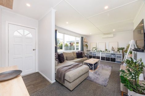 Photo of property in 58 Port Street West, Feilding, 4702