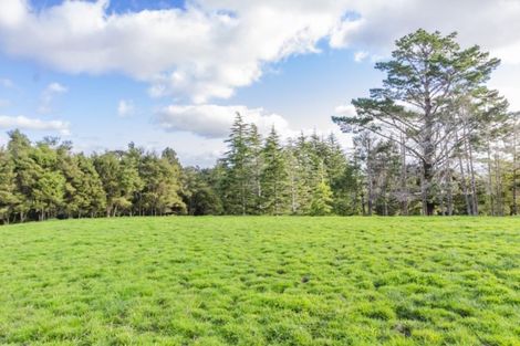 Photo of property in 46 Harry Dreadon Road, Opaheke, Papakura, 2584