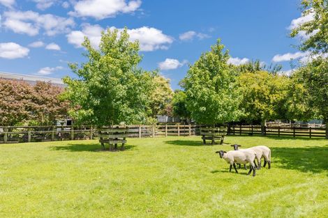 Photo of property in 77b Oaklea Lane, Tamahere, Hamilton, 3283