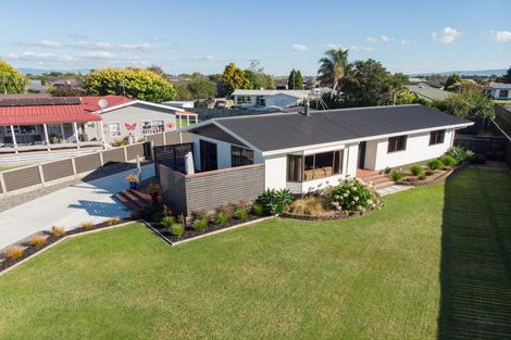 Photo of property in 20 Miller Place, Ngatea, 3503