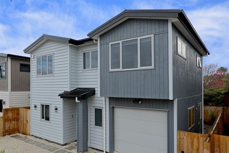 Photo of property in 43c Border Road, Henderson, Auckland, 0612