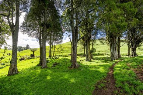 Photo of property in 554 Maungatawhiri Road, Raglan, 3295