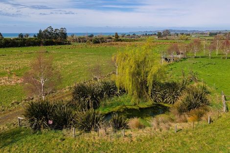 Photo of property in 137 Harnetts Road, Kaikoura Flat, Kaikoura, 7371