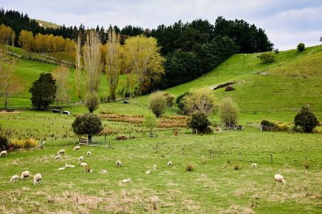 Photo of property in 66 Deer Park Road, Cheviot, 7310