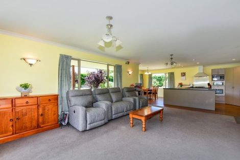Photo of property in 17 Bridge Road, Greendale, Christchurch, 7671