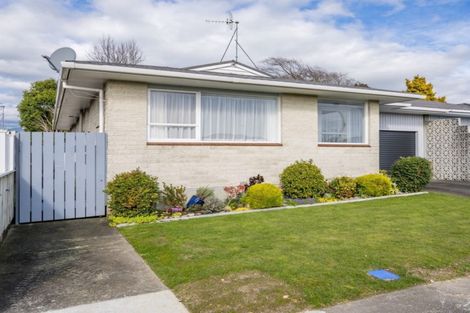 Photo of property in 78 Winchester Street, Levin, 5510