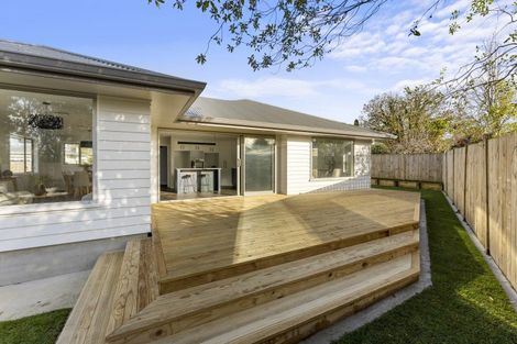 Photo of property in 163a Denbigh Street, Feilding, 4702