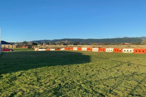 Photo of property in 55 Tainui Street, Levin, 5510