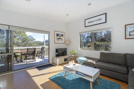 Photo of property in 63 Orchard Road, Hahei, Whitianga, 3591