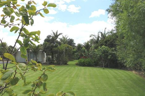 Photo of property in 1147 Kaiwaka-mangawhai Road, Mangawhai, 0975