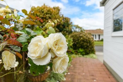 Photo of property in 32 Armagh Terrace, Marton, 4710