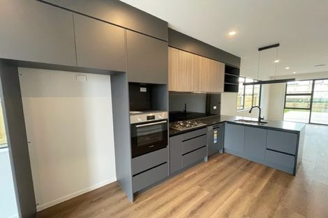 Photo of property in 103 Limestone Drive, Hobsonville, Auckland, 0616