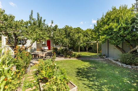 Photo of property in 913 Fitzroy Avenue, Mahora, Hastings, 4120