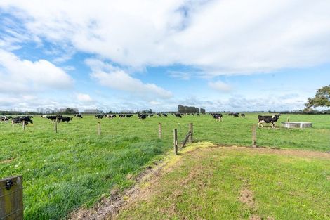 Photo of property in 294 Piako Road, Gordonton, Hamilton, 3281
