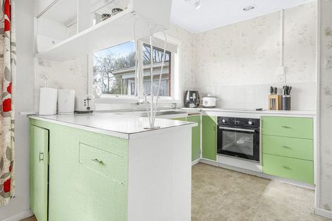 Photo of property in 13 Howell Avenue, Riverlea, Hamilton, 3216