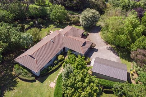 Photo of property in 10 Guinane Street, Dannevirke, 4930