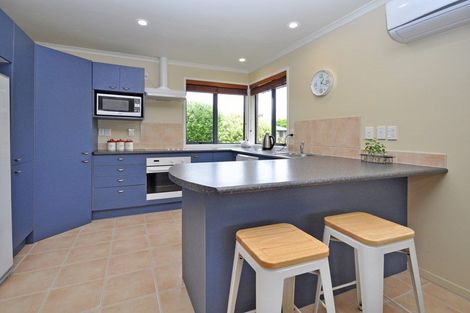 Photo of property in 17 Max Short Drive, Pukekohe, 2120