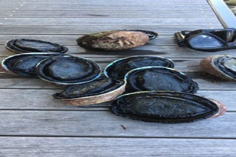 Photo of property in 149 Te Awaiti Road, Tora, Martinborough, 5782