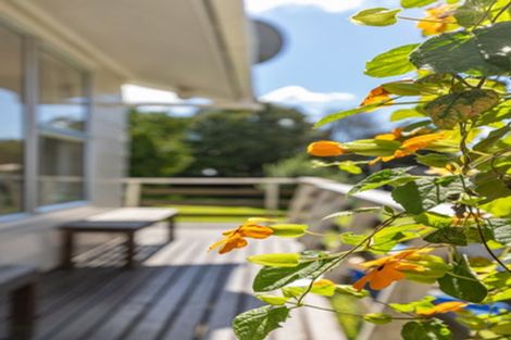 Photo of property in 2 Alexandra Street, Huntly, 3700