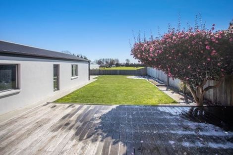 Photo of property in 11 Mcsaveneys Road, Marshland, Christchurch, 8051