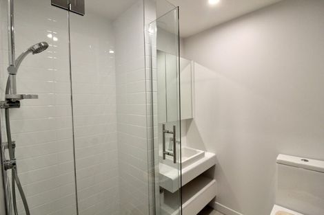 Photo of property in Pinnacle Apartments, W503/160 Victoria Street, Te Aro, Wellington, 6011