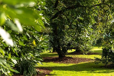 Photo of property in 204e Beach Road, Katikati, 3178