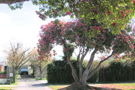 Photo of property in 31 James Street, Victoria, Rotorua, 3010