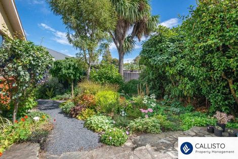 Photo of property in 16f Mure Street, Mosgiel, 9024