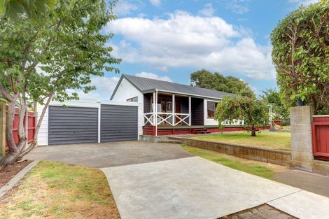 Photo of property in 59 Exeter Crescent, Springvale, Whanganui, 4501