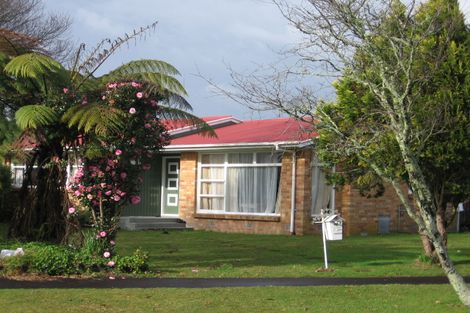 Photo of property in 48 Lewis Street, Glenview, Hamilton, 3206