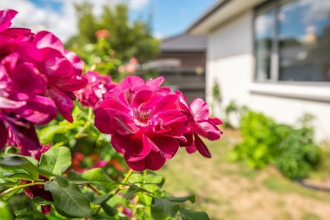 Photo of property in 24 Barry Curtis Place, Levin, 5510