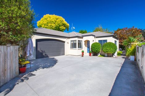 Photo of property in 32a Horne Street, Hamilton Central, Hamilton, 3204