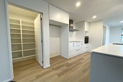 Photo of property in 33 Chartreuse Way, Rolleston, 7614