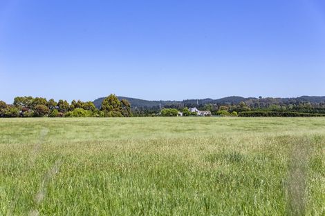 Photo of property in 172 Douds Road, Sefton, Rangiora, 7477
